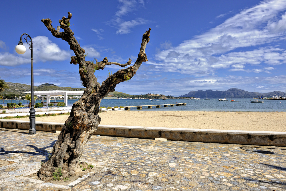 Port de Pollensa, Mallorca