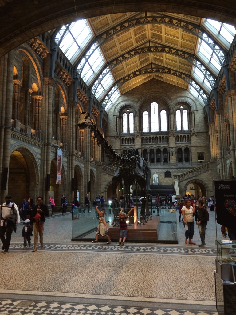 The Natural History Museum