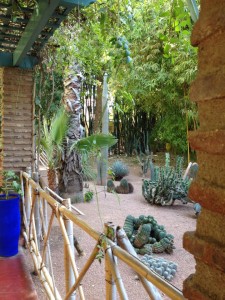 Garden Majorelle (1)