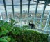 Sky Garden London